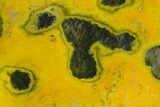 Very Vibrant, Free-Standing Polished Bumblebee Jasper #358611-1